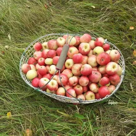 La Tourelle Saint-Agnan-sur-Sarthe