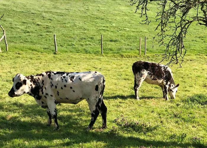 La Tourelle Holiday home *