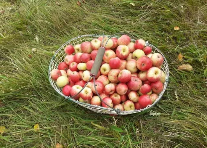 La Tourelle Saint-Agnan-sur-Sarthe
